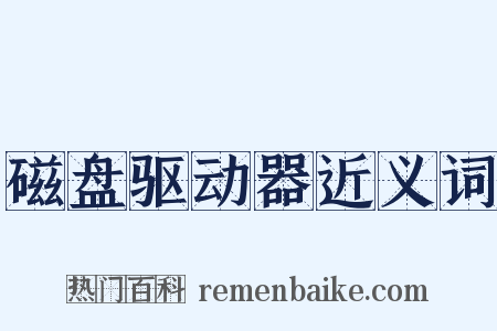 磁盘驱动器近义词是什么意思的图片